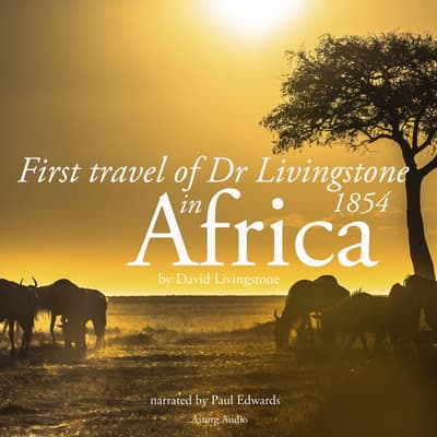 First Travel of Dr. Livingstone in Africa Audiobook, written by David