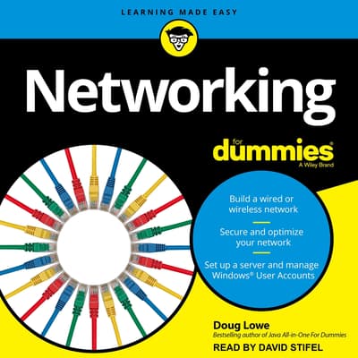 Networking For Dummies Audiobook, written by Doug Lowe