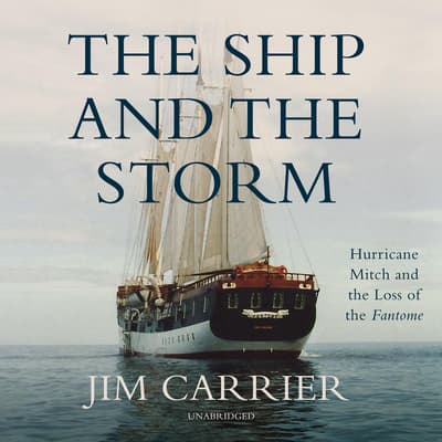 The Ship and the Storm Audiobook, written by Jim Carrier | Downpour.com