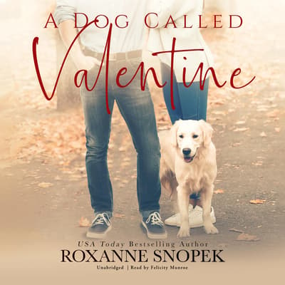 a-dog-called-valentine-audiobook-written-by-roxanne-snopek-downpour