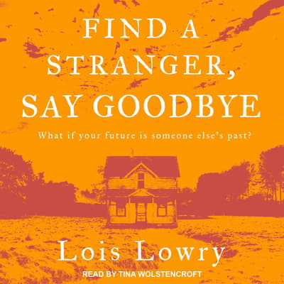 goodbye stranger novel