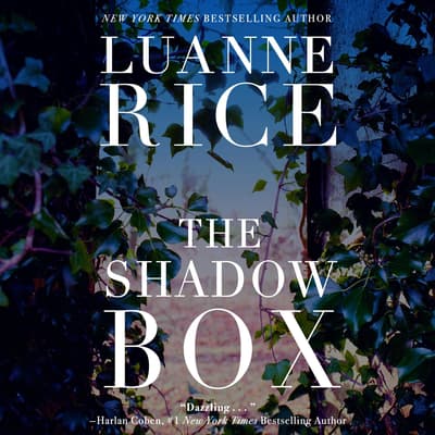the shadow box by luanne rice