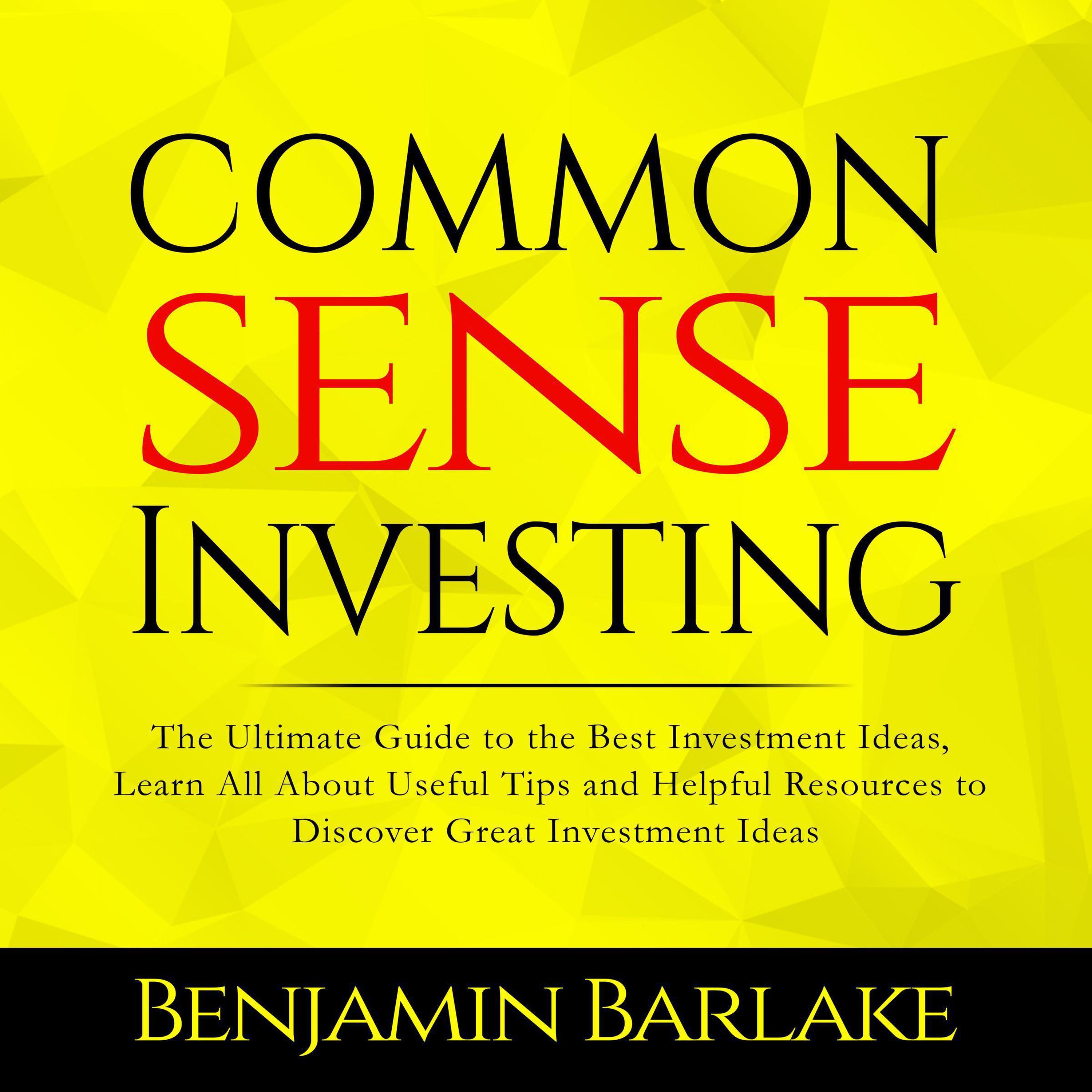 Common sense investor amc